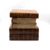 Late Victorian Book Stack Concealed Wine Cooler; English, Circa 1880.