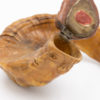 Rare and Early 19th Century, Whimsical, Carved, Scottish, Rams Horn Snuff Mull Of Small Proportions, Circa 1820.
