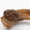 Rare and Early 19th Century, Whimsical, Carved, Scottish, Rams Horn Snuff Mull Of Small Proportions, Circa 1820.