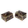 Pair of Art Nouveau Coromandel Boxes by Erhard & Söhne, Circa 1900