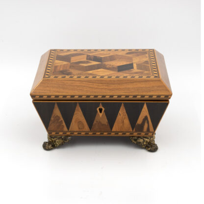 Regency Specimen Wood Box England, circa 1810