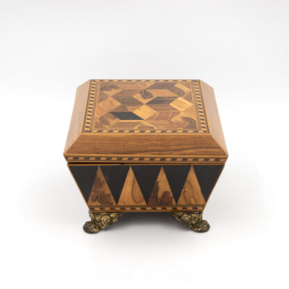 Regency Specimen Wood Box England, circa 1810