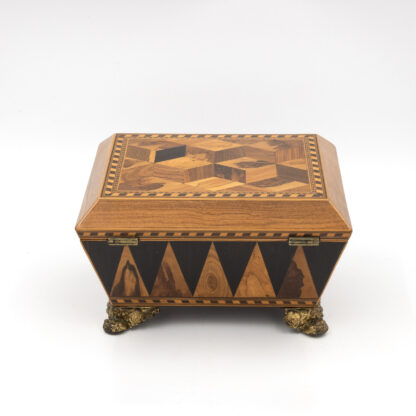 Regency Specimen Wood Box England, circa 1810