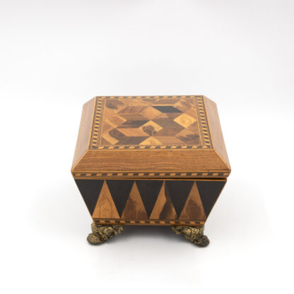 Regency Specimen Wood Box England, circa 1810