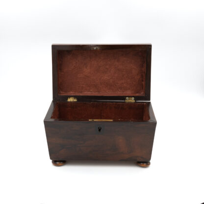 Rosewood Sarcophagus Tea Caddy English, Circa 1860