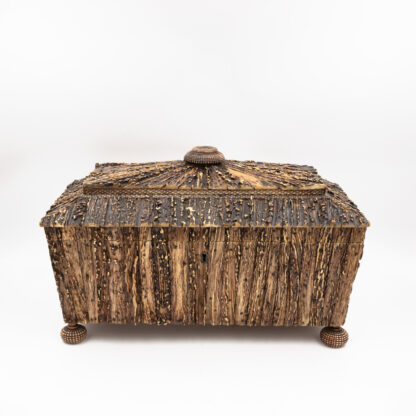 Very Rare Anglo Indian Stag Horn Tea Caddy Circa 1830